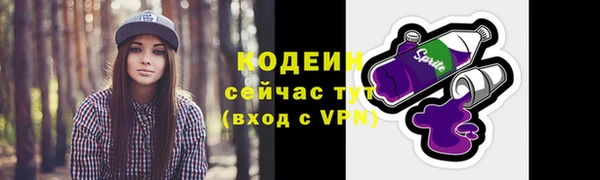 стафф Верхний Тагил